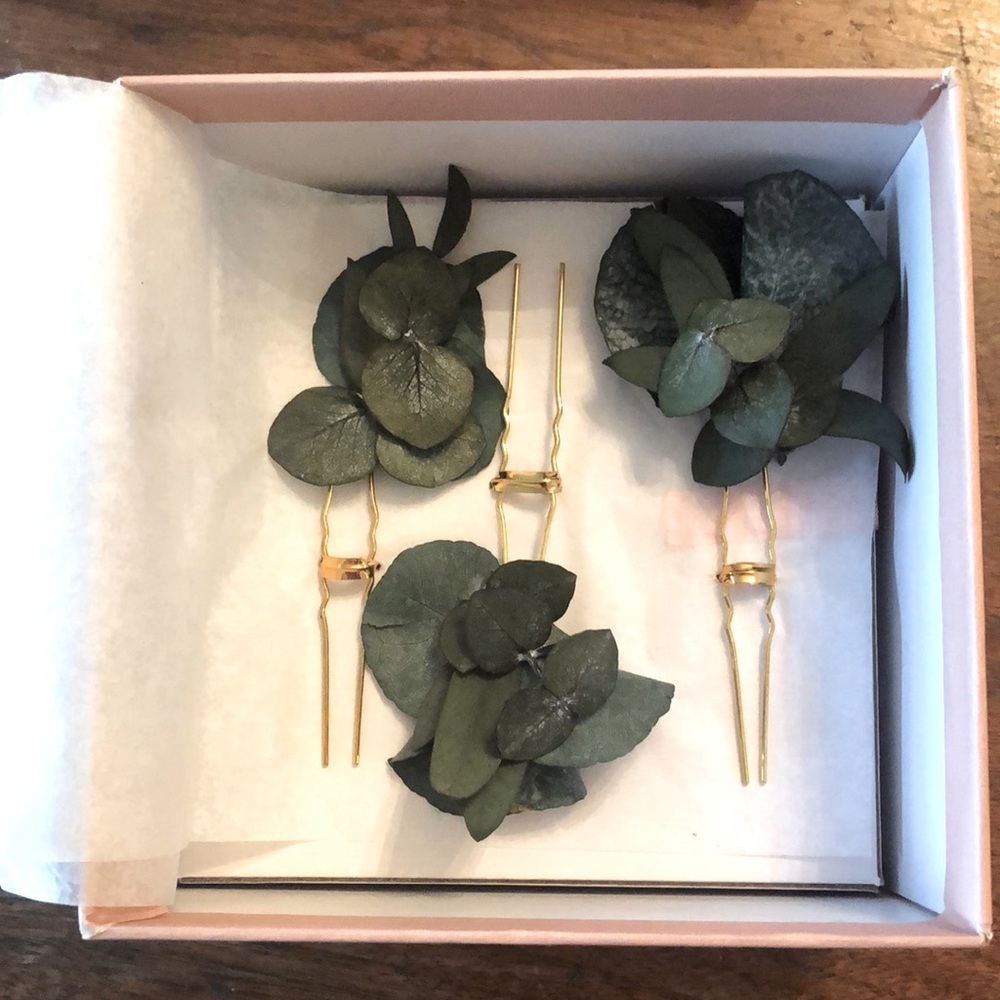 BHLDN NEW Salma Preserved Eucalyptus Hair Pin Set